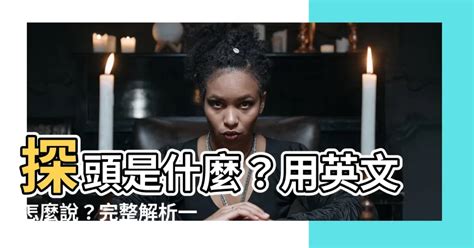 探頭意思|探頭的解釋